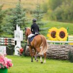 Physiotherapy For Horse Riders In Edmonton